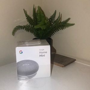 Google Home Mini (Chark)